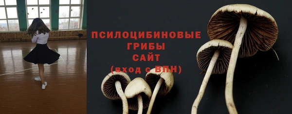 хмурый Абинск